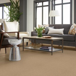 Living room Carpet flooring | Floorco Flooring