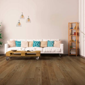Vinyl flooring for living room | Floorco Flooring